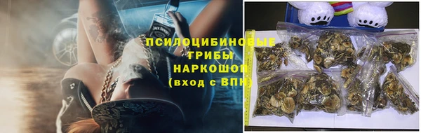тгк Бородино