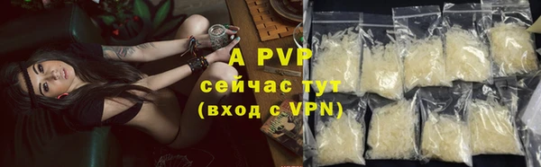 тгк Бородино