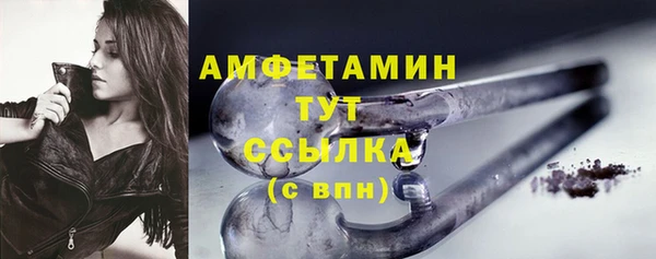 тгк Бородино