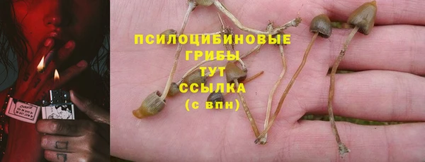 ALPHA PVP Бронницы