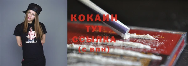 тгк Бородино