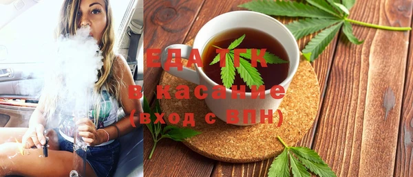 тгк Бородино