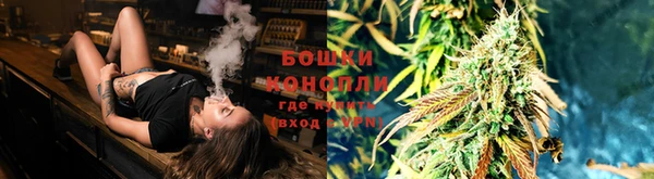 тгк Бородино